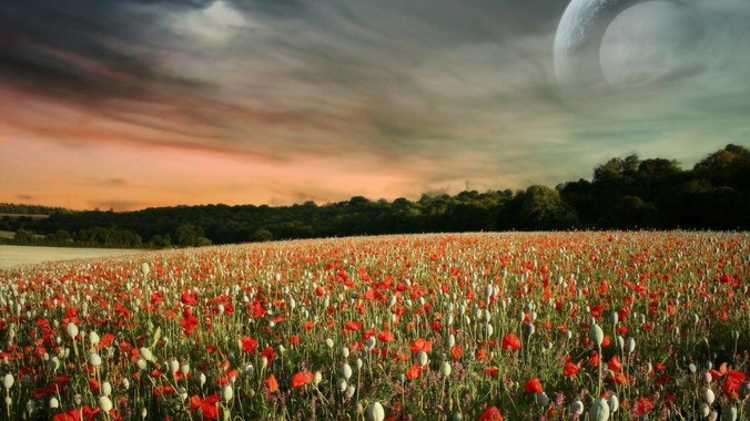 你见过最奇怪的体质是什么？